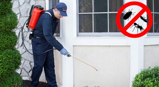 Samsun Karınca İlaçlama böcek ilaçlama ve haşere kontrolü — ilaclama-tr.com